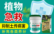 ����(gu��)(li��n)��μ���(gu��)�H�������޹�˾